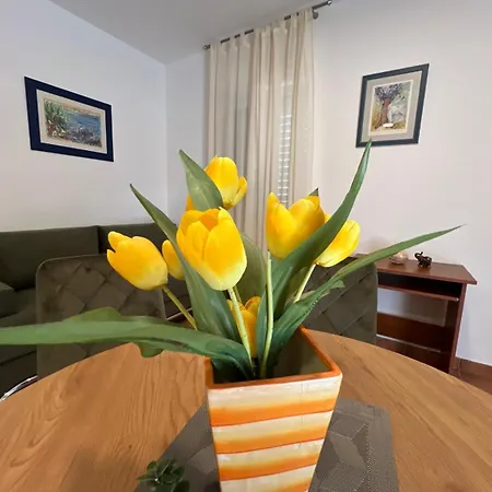 Apartman Lana *