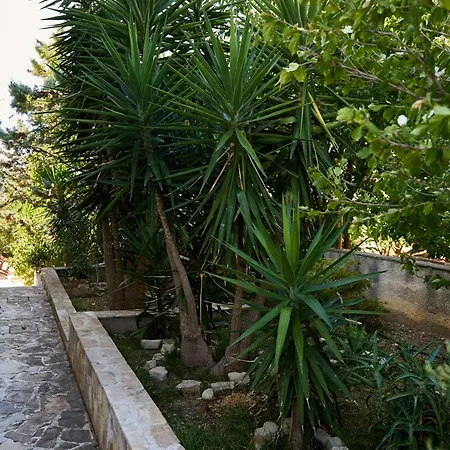 Apartment Lana *