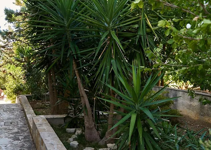 Apartament Lana *